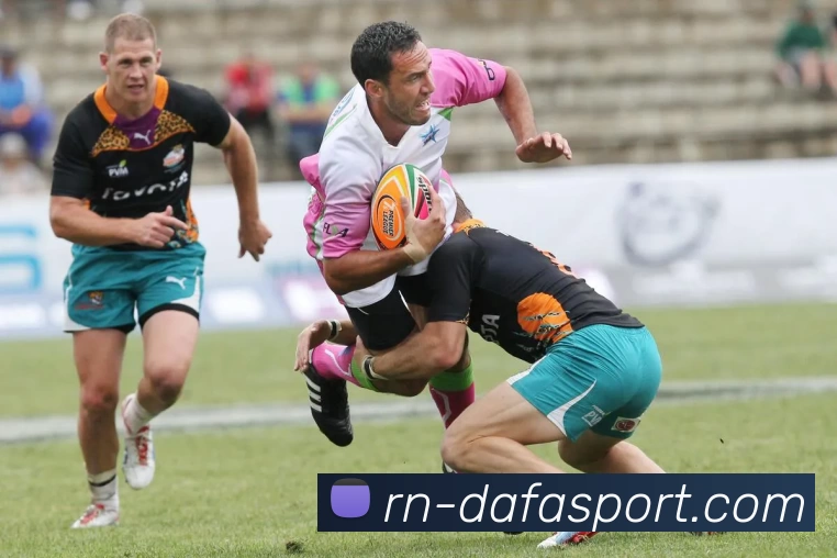 大发体育投注发展历程